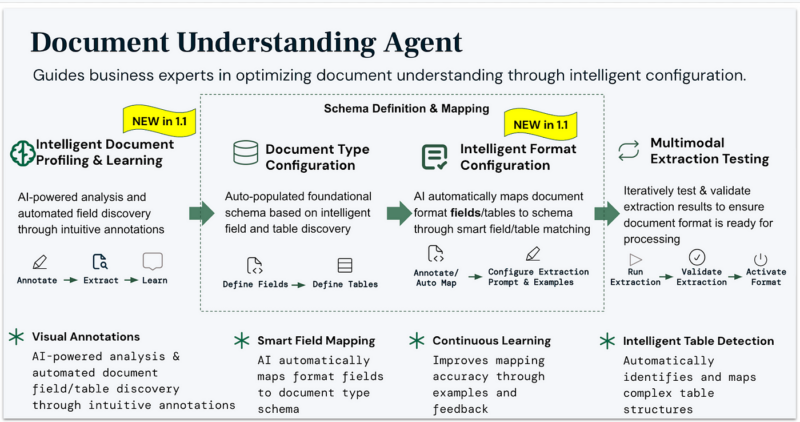 DUA guiding business experts in defining document schemas and optimization rules.